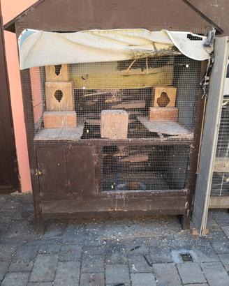 gabbia più parrocchetti 