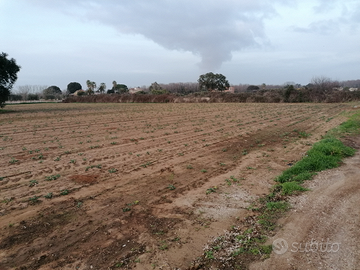 Terreno agricolo ( Anzio)
