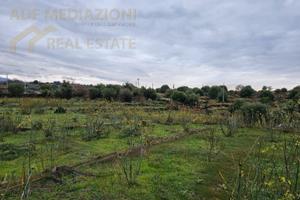 Terreno E Deposito Con Riscatto