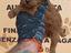 Immagine 4