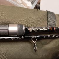 Canne da pesca carpfishing free Spirit 