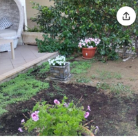 Trilocale piano terra Villapiana