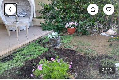 Trilocale piano terra Villapiana