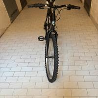 Bicicletta Girardengo