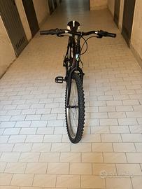 Bicicletta Girardengo