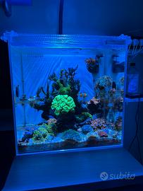 Acquario aqupet 40x40