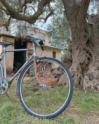 bici uomo