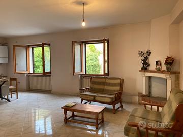 Qudrilocale ampio agnone centro