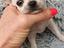 Immagine 4