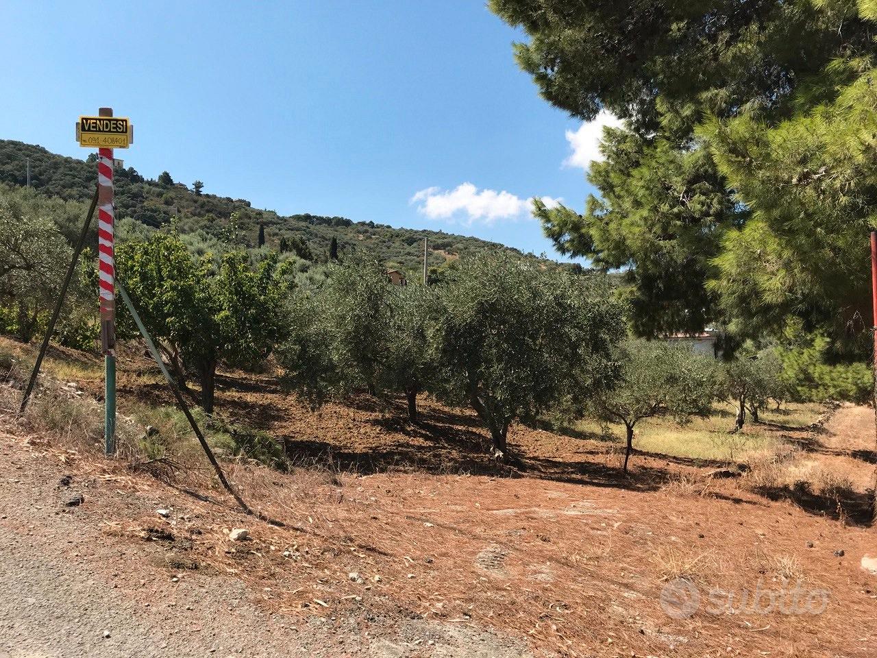 Terreno agricolo con magazzino - Vista 5