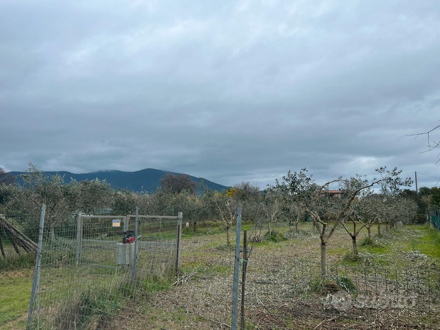 Terreno a Castiglione della Pescaia luce e acqua - Vista 2