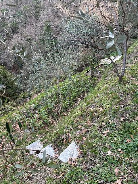 Terreno carrabile - Vista 3