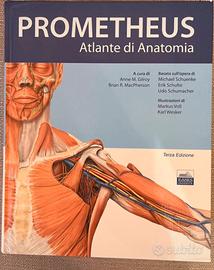 Atlante di anatomia