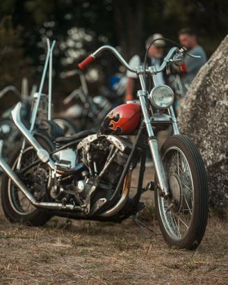 Chopper Shovelhead 1981