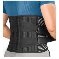 Fascia Lombare
