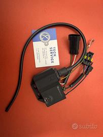 CENTRALINA CDI - SCORPA 2012