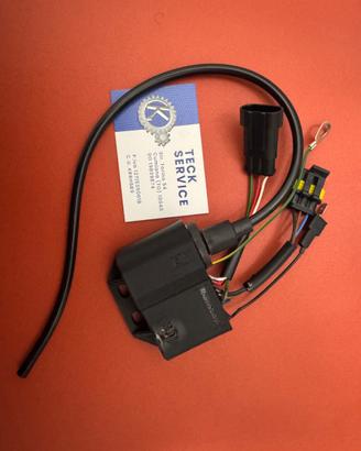 CENTRALINA CDI - SCORPA 2012