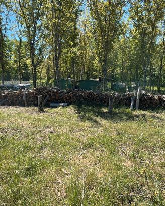 500 quintali di legna di noce 