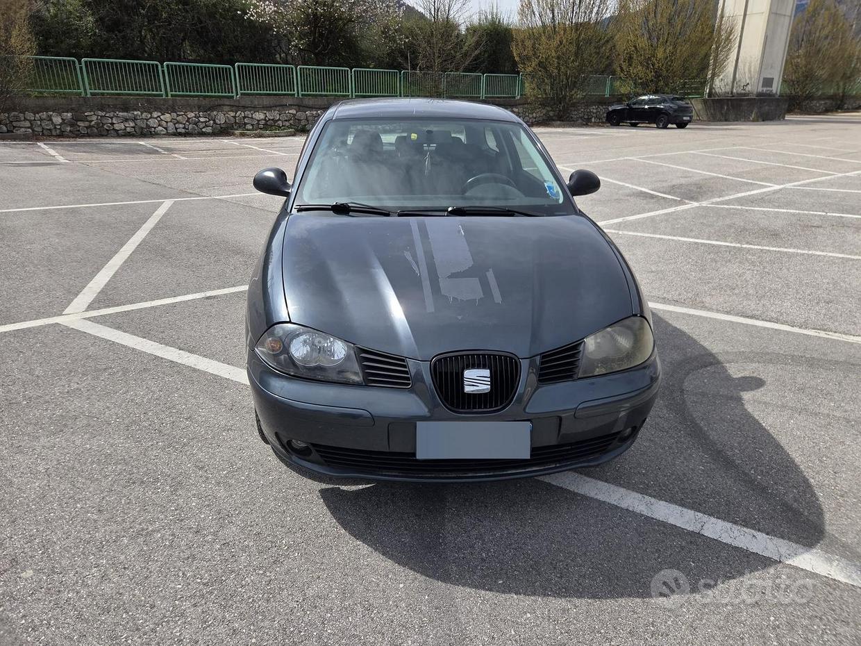 SEAT Ibiza 3ª serie