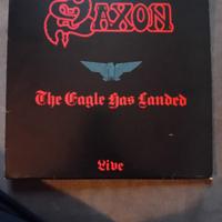 Saxon