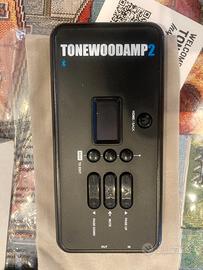Amplificatore chitarra acustica -TONEWOODAMP 2