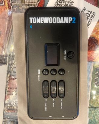 Amplificatore chitarra acustica -TONEWOODAMP 2