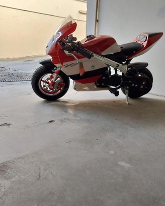 mini moto