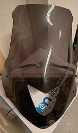 cupolino Honda Hornet 600