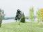 Immagine 18