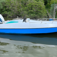 Barca open 4.75 metri