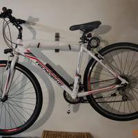 Bicicletta TEKNOBIKE