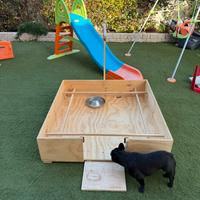 Box parto cani gatti