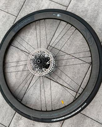 Ruote bici