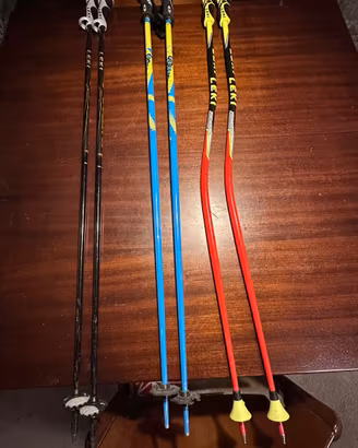 Bastoncini sci