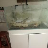 Acquario marca Aqpet con mobile