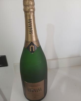 grappa di chardonnay SEGNANA CL150