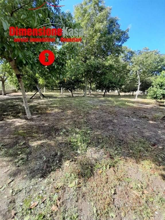 Terreno di 6000 m² a Roccarainola - Vista 3