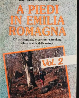 A piedi in Emilia Romagna