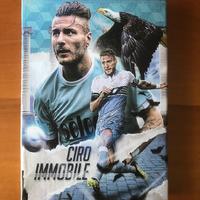 Quadro di Ciro Immobile