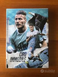 Quadro di Ciro Immobile