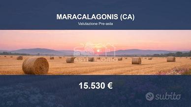 Immobile in asta di 144320 m² a Maracalagonis
