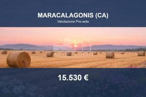 Immobile in asta di 144320 m² a Maracalagonis