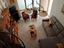 Immagine 6