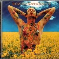 Cd- biagio antonacci
