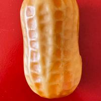 Nocciolina bambolina