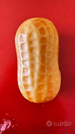 Nocciolina bambolina