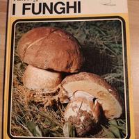 Libro "Raccogliamo i funghi" 1967