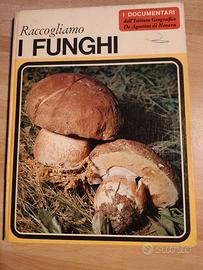 Libro "Raccogliamo i funghi" 1967