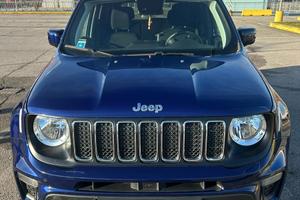Jeep renegade van