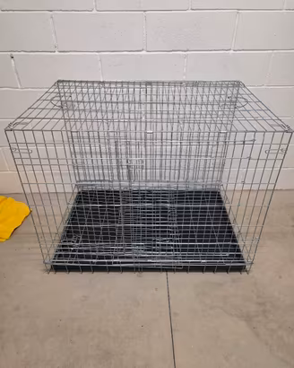 kennel per cani